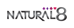 Natural8 logo